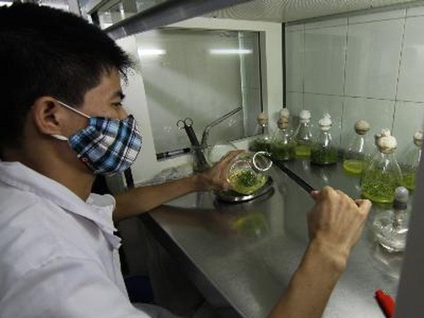 Ảnh chỉ có tính minh hoạ. (Nguồn: TTXVN) Cần sớm tháo gỡ khó khăn trên con đường khởi nghiệp từ chất xám ảnh 2
