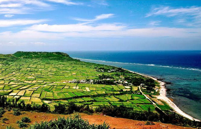 Quảng Ngãi - điểm đến hấp dẫn với nhiều bãi biển sạch đẹp ảnh 1