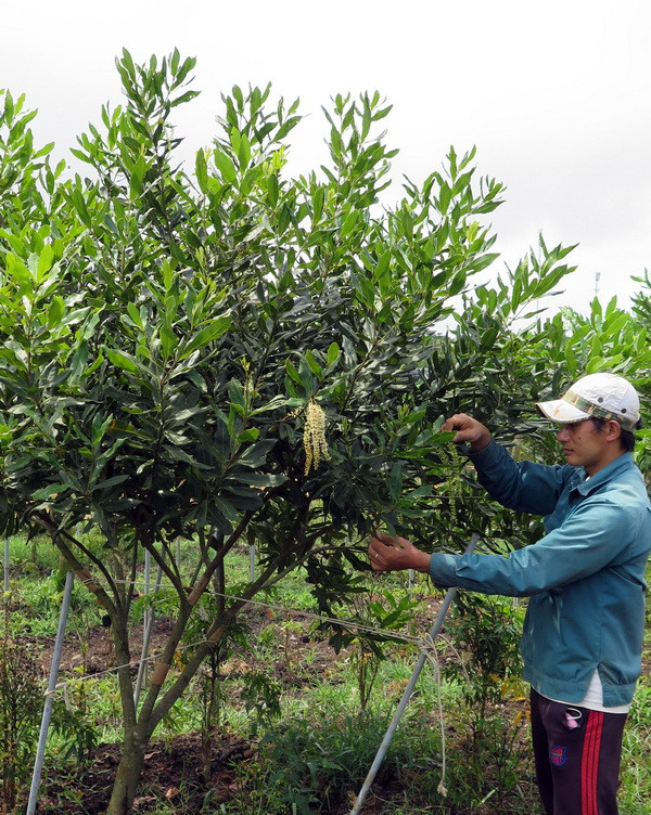 Những ký ức và đổi thay khi trở lại 9-Khe Sanh sau 50 năm ảnh 2