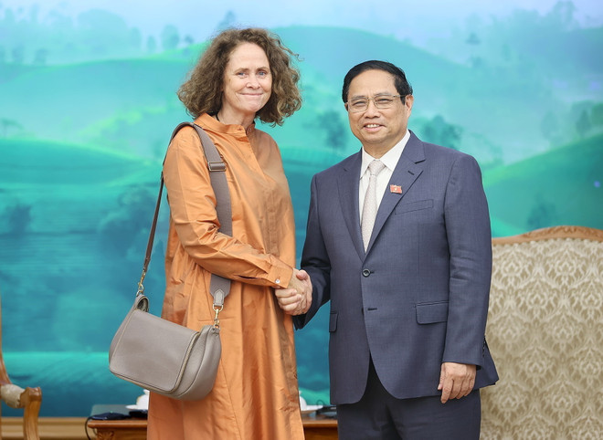 Thủ tướng Phạm Minh Chính tiếp Giám đốc WB tại Việt Nam ảnh 1
