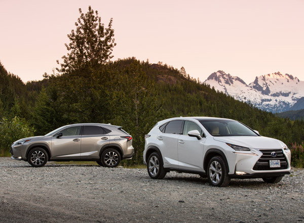 Lexus ra mắt thế hệ NX 2014 sang trọng tại Canada ảnh 1