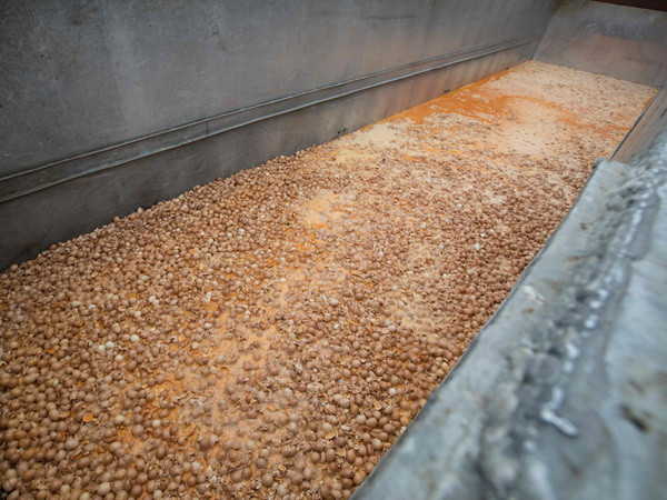 EC kêu gọi tiến hành họp khẩn về vụ bê bối trứng "bẩn" ảnh 1