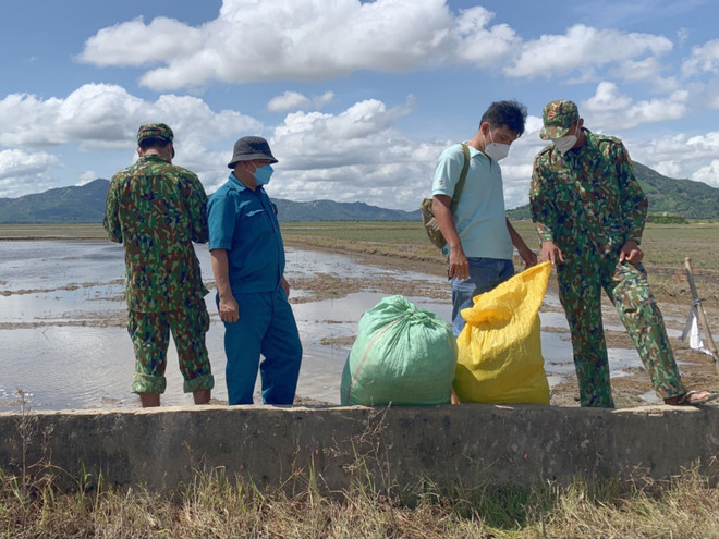An Giang: Bắt giữ hơn 21kg nghi là cần sa vận chuyển từ Campuchia ảnh 1