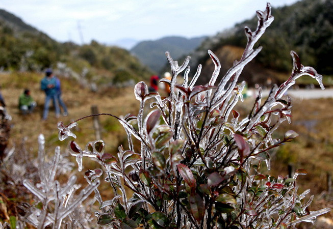 Lai Châu: Xuất hiện băng tuyết phủ kín mặt đường quốc lộ 4D ảnh 1