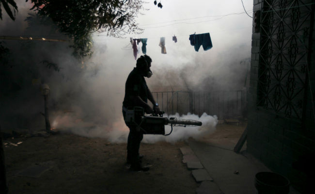 Hai trường hợp nhiễm virus Zika được phát hiện tại châu Âu ảnh 1