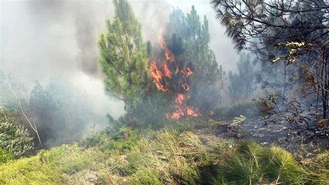 Vụ cháy rừng tại Nghệ An: Canh gác, xử lý dứt điểm các tàn than ảnh 1