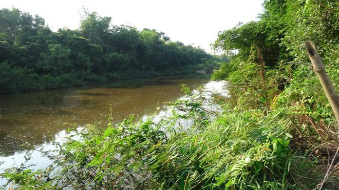 Đắk Nông: Hai mẹ con tử vong thương tâm do đuối nước ảnh 1