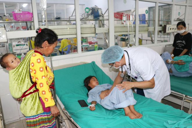 Vụ ngộ độc quả hồng châu: Một trẻ tử vong, 3 trẻ phải chuyển viện ảnh 1