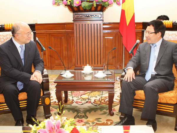 Đề nghị IAEA tiếp tục dành ưu tiên, hỗ trợ Việt Nam ảnh 1