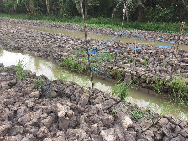 Dân phát hiện đạn pháo trong vườn, hơn 20 ngày không được xử lý ảnh 1