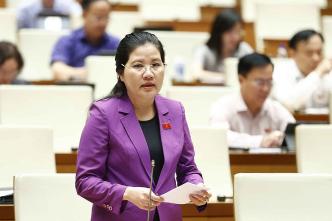 Luật Đất đai sẽ điều chỉnh đồng bộ với luật chuyên ngành ảnh 1