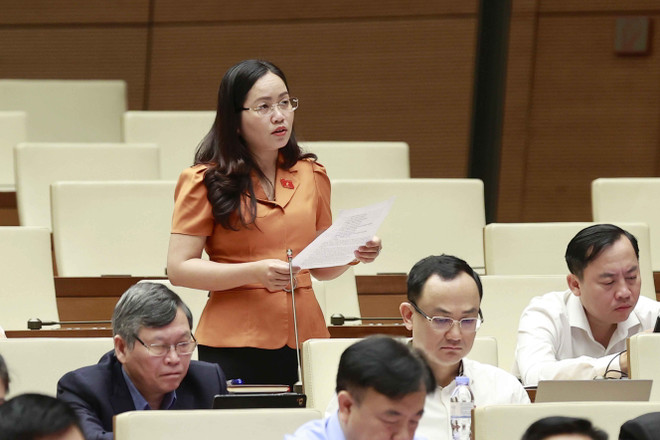 Luật Đất đai sẽ điều chỉnh đồng bộ với luật chuyên ngành ảnh 2