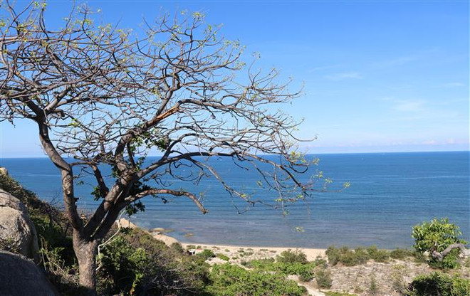 Tìm nguồn thu khả thi để hỗ trợ xúc tiến, quảng bá du lịch Việt Nam ảnh 1