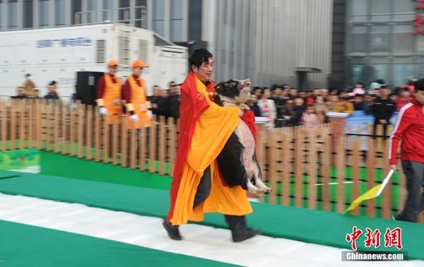 Các thí sinh "vật lộn" với những con lợn béo trong cuộc thi chạy ảnh 2