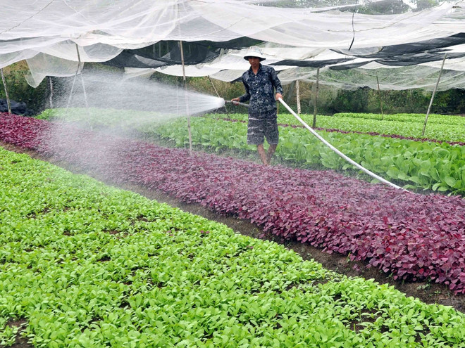 Thành phố Hà Nội có thêm 20 xã đạt chuẩn nông thôn mới ảnh 1