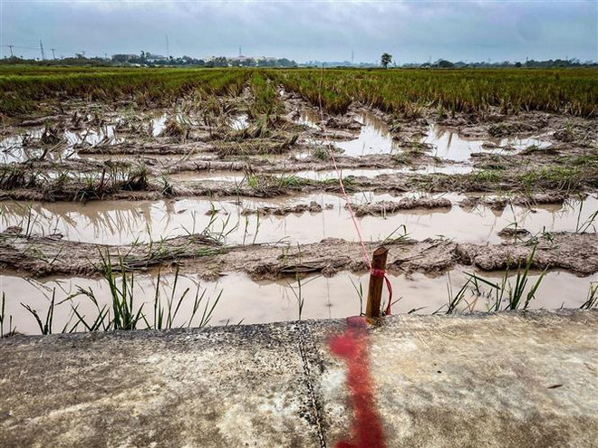 Gấp rút giải phóng mặt bằng xây dựng đường Vành đai 4-Vùng Thủ đô ảnh 2