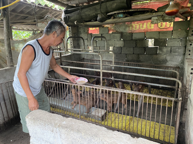 Khi người nông dân bán hàng trực tuyến: Khó khăn và giải pháp ảnh 3