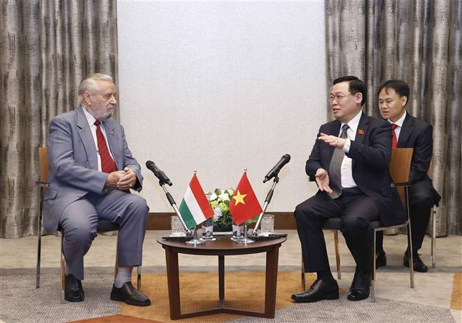 Chủ tịch Quốc hội tiếp lãnh đạo Hội Hữu nghị Hungary-Việt Nam ảnh 1