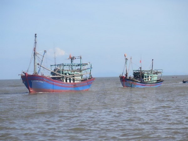 (Ảnh minh họa: Nguyễn Văn Nhật/TTXVN) Malaysia: Ngư dân Việt Nam bị bắt giữ nhiều nhất ở bang Sarawak ảnh 1