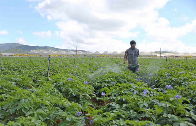Lâm Đồng dẫn đầu các tỉnh Tây Nguyên về xây dựng nông thôn mới ảnh 1