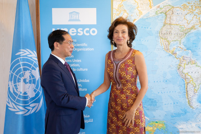 Việt Nam luôn là thành viên có trách nhiệm trong UNESCO ảnh 1