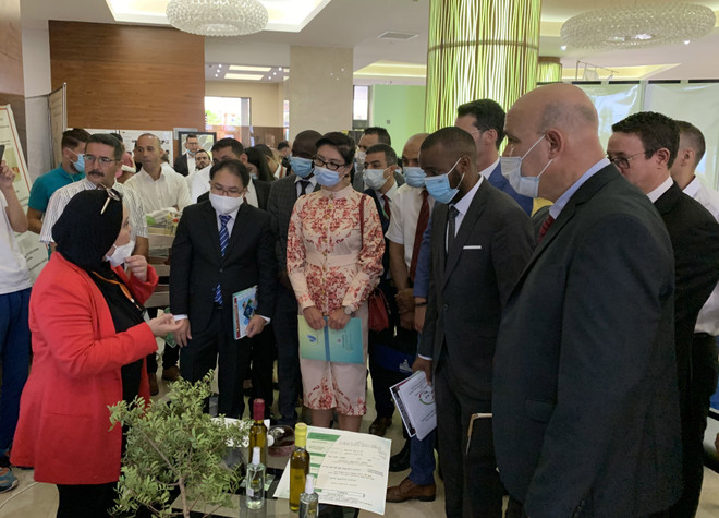 Việt Nam chia sẻ kinh nghiệm khởi nghiệp với doanh nhân trẻ Algeria ảnh 2