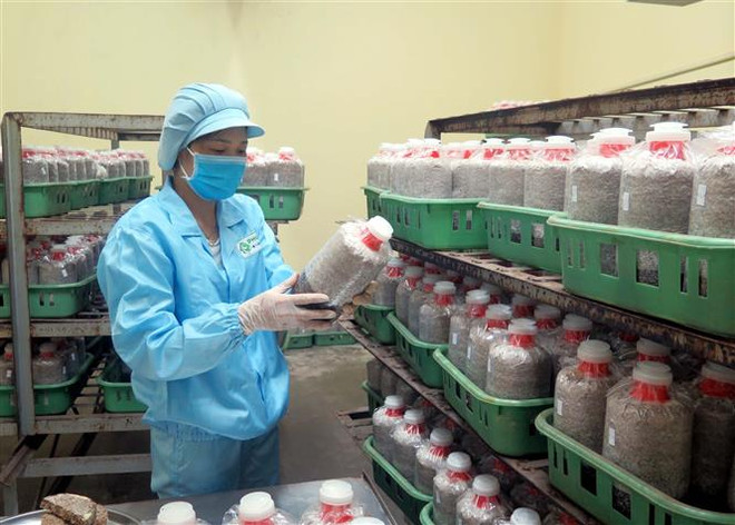 Ban hành Nghị quyết về phát triển và ứng dụng công nghệ sinh học ảnh 2