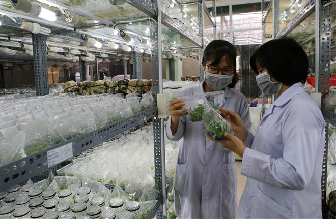 Ban hành Nghị quyết về phát triển và ứng dụng công nghệ sinh học ảnh 3