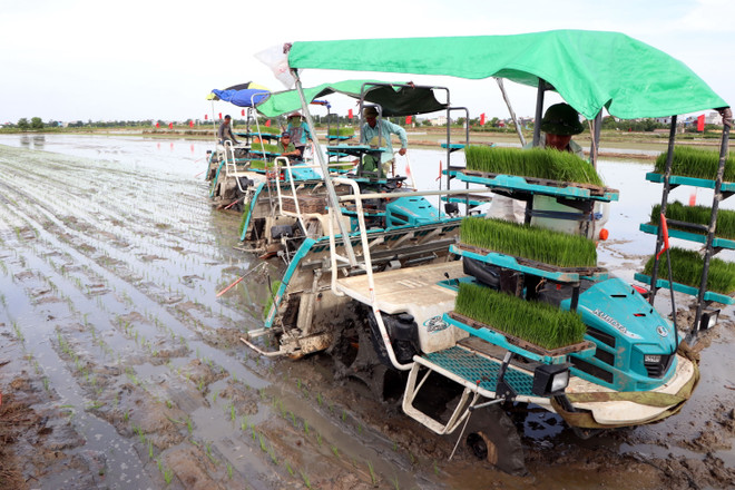 Trình diễn cấy máy và phun thuốc bằng máy bay không người lái ảnh 1