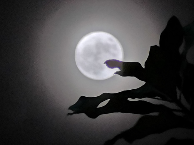 Người dân thế giới chiêm ngưỡng siêu trăng lớn nhất năm 2022 ảnh 1