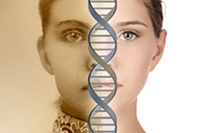 Ảnh minh họa. (Nguồn: discovermagazine.com) Phát hiện các mã gene mới ngăn chặn quá trình lão hóa ảnh 1