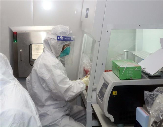Các y, bác sỹ thực hiện xét nghiệm bằng kỹ thuật RT-PCR toàn bộ mẫu gửi về. (Ảnh: Đại Nghĩa/TTXVN) Hà Nam tiếp tục ghi nhận 66 ca, tập trung cao độ cho việc xét nghiệm ảnh 1