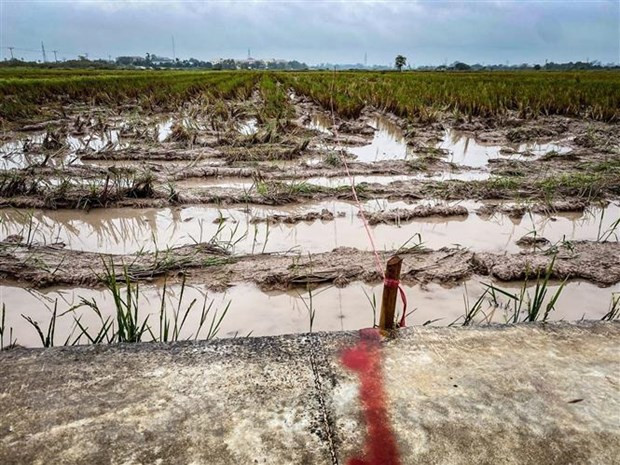 Hà Nội: Tập trung nguồn lực sớm giải quyết tồn tại về quản lý đất đai ảnh 2