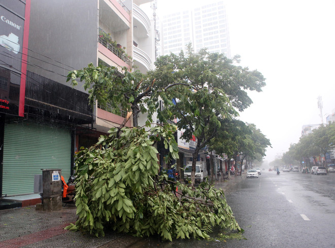 Đà Nẵng, Kon Tum khẩn trương triển khai biện pháp ứng phó bão số 5 ảnh 3
