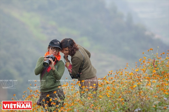 Chiêm ngưỡng vẻ đẹp mê hoặc của vùng đá núi kỳ vĩ Hà Giang ảnh 14