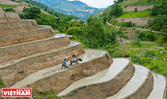 Chiêm ngưỡng vẻ đẹp mê hoặc của vùng đá núi kỳ vĩ Hà Giang ảnh 18