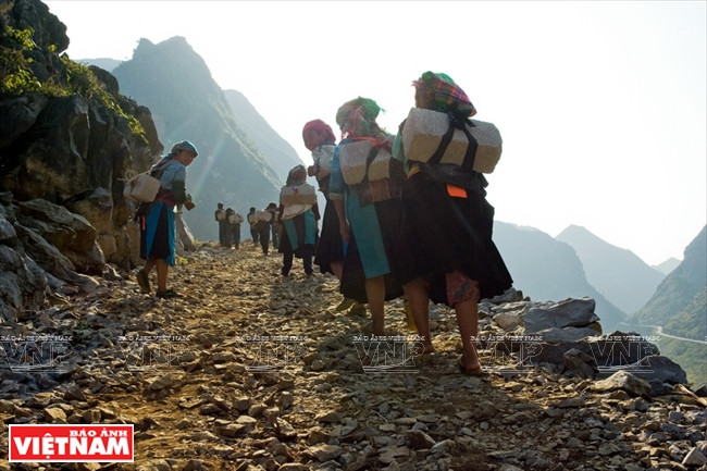 Chiêm ngưỡng vẻ đẹp mê hoặc của vùng đá núi kỳ vĩ Hà Giang ảnh 13