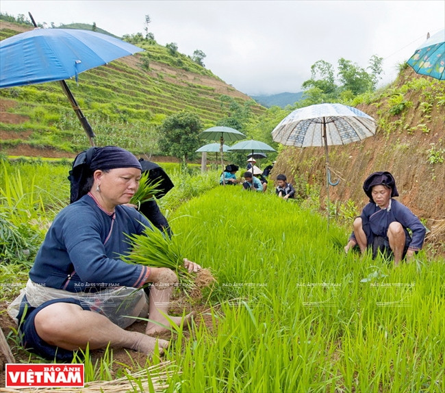 Chiêm ngưỡng vẻ đẹp mê hoặc của vùng đá núi kỳ vĩ Hà Giang ảnh 15