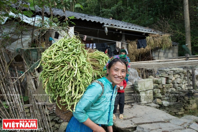 Chiêm ngưỡng vẻ đẹp mê hoặc của vùng đá núi kỳ vĩ Hà Giang ảnh 10