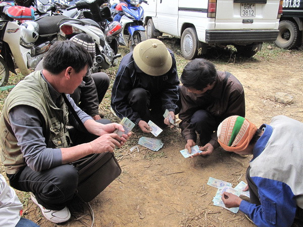 Khám phá nét độc đáo của chợ bò phiên Nghiên Loan ở Pác Nặm ảnh 3