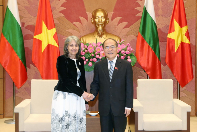 Chủ tịch Quốc hội Nguyễn Sinh Hùng tiếp Phó Tổng thống Bulgaria ảnh 1