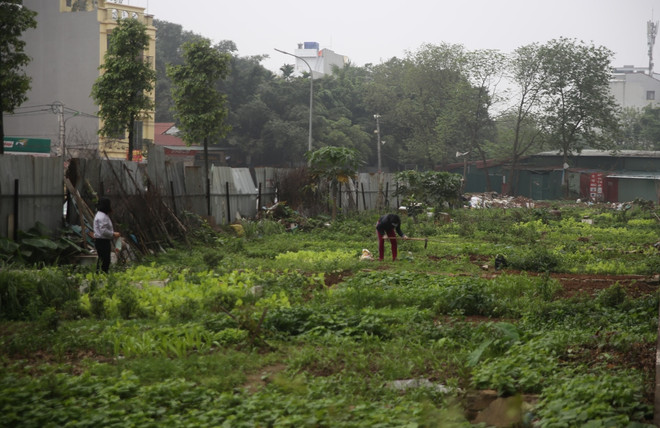 Giãn cách xã hội: Trong cái khó ló nghĩa tình chung sức chống dịch ảnh 11