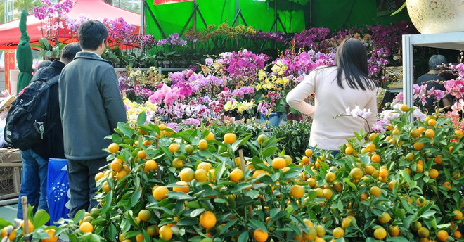 Người dân đặc khu hành chính Hong Kong rộn ràng đón Tết ảnh 2