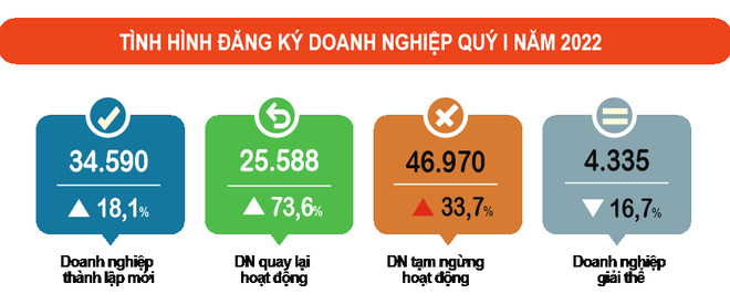 Cả nước có gần 34.600 doanh nghiệp thành lập mới trong quý 1 ảnh 1