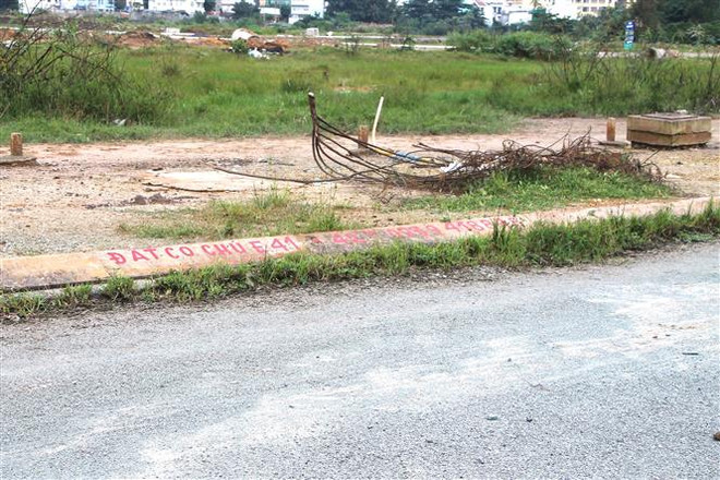 Giám sát việc thực hiện chính sách quy hoạch đất đai tại đô thị ảnh 1