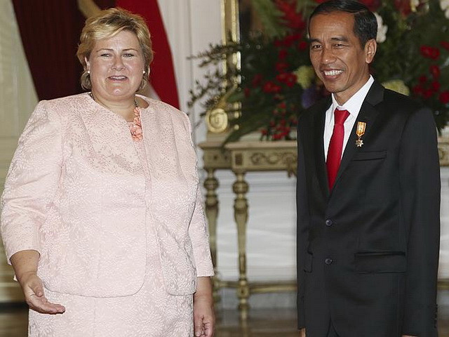 Indonesia-Na Uy tăng hợp tác lâm nghiệp và công nghệ nước sâu ảnh 1