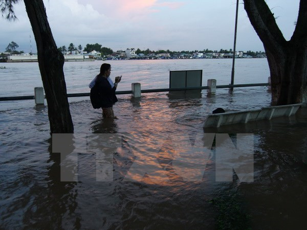 Xây dựng các giải pháp dựa vào thiên nhiên thích ứng biến đổi khí hậu ảnh 2