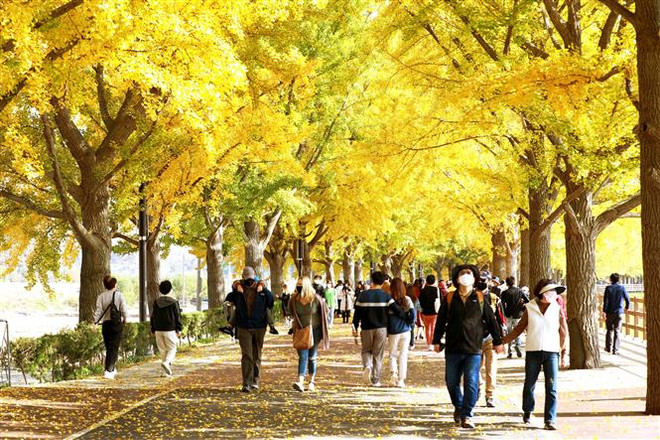 Hàn Quốc: Dân số là người nước ngoài giảm trong năm thứ 2 liên tiếp ảnh 1