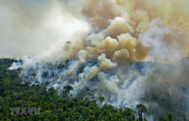 Nguy cơ "cạn kiệt sự sống" của Trái Đất do biến đổi khí hậu ảnh 1