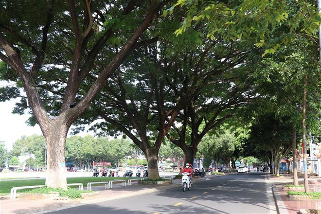 Ưu tiên ba nhiệm vụ chính để phát triển vùng Tây Nguyên ảnh 1